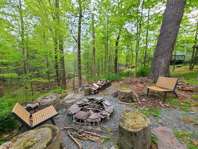 112 E Thompson Pl, Smallwood, NY 12778 - view of yard with a fire pit