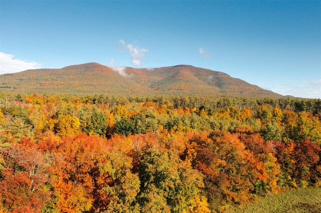 5 Downer Ln, Woodstock, NY 12498 - property view of mountains featuring a forest view