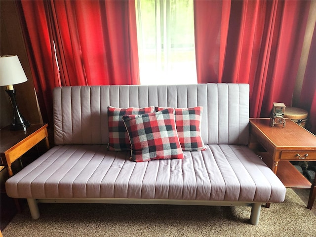 51 E Oak St, Smallwood, NY 12778 - sitting room with carpet floors