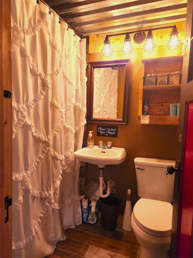 51 E Oak St, Smallwood, NY 12778 - bathroom with wood finished floors, toilet, a shower with shower curtain, and a sink