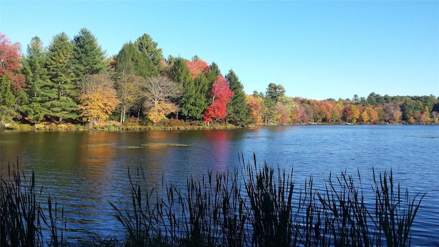 51 E Oak St, Smallwood, NY 12778 - water view featuring a heavily wooded area