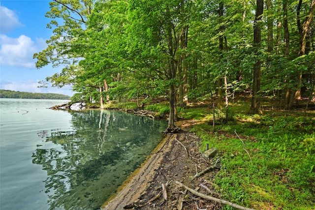 9 Oak Ridge Ct, West Harrison, NY 10604 - water view