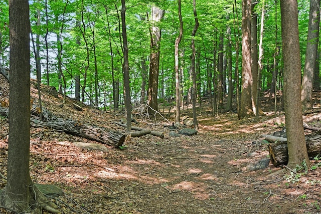 9 Oak Ridge Ct, West Harrison, NY 10604 - view of tree filled area