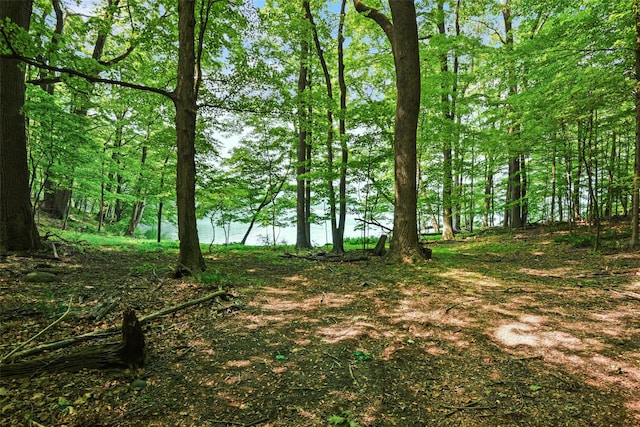 9 Oak Ridge Ct, West Harrison, NY 10604 - view of local wilderness