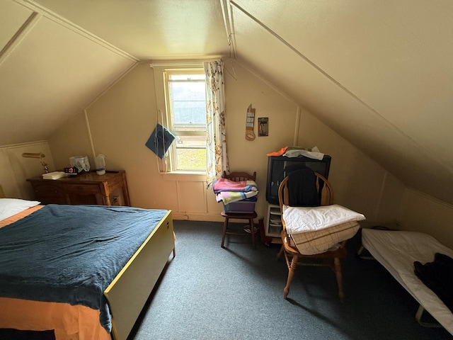 15 Springside Ave, Poughkeepsie, NY 12603 - bedroom featuring lofted ceiling and carpet floors
