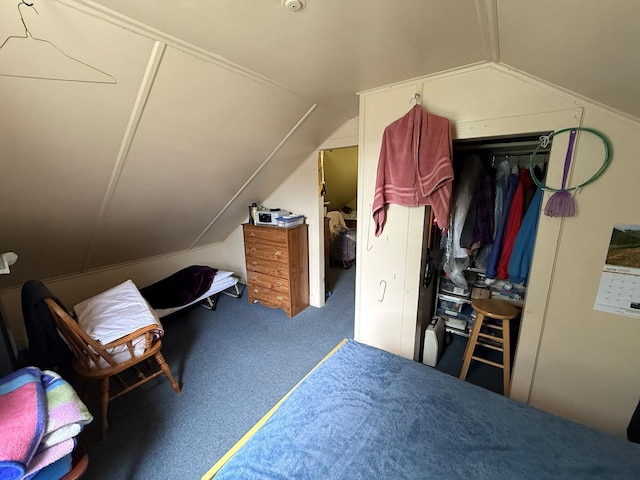 15 Springside Ave, Poughkeepsie, NY 12603 - bedroom featuring lofted ceiling and carpet floors