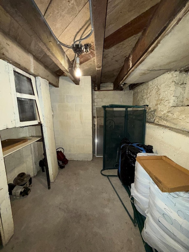 17 Springside Ave, Poughkeepsie, NY 12603 - view of unfinished basement