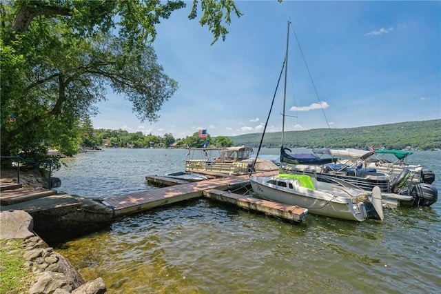 dock area with a water view