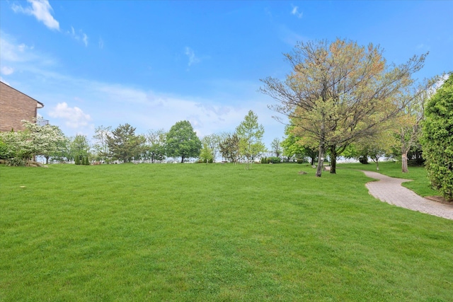 2-20 Capstan Ct Unit 102B, College Point, NY 11356 - view of green lawn