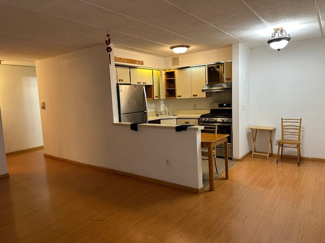 kitchen with under cabinet range hood, light wood finished floors, a sink, open shelves, and stainless steel appliances
