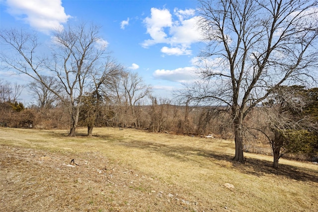 247 Osborne Hill Rd, Fishkill, NY 12524 - view of local wilderness