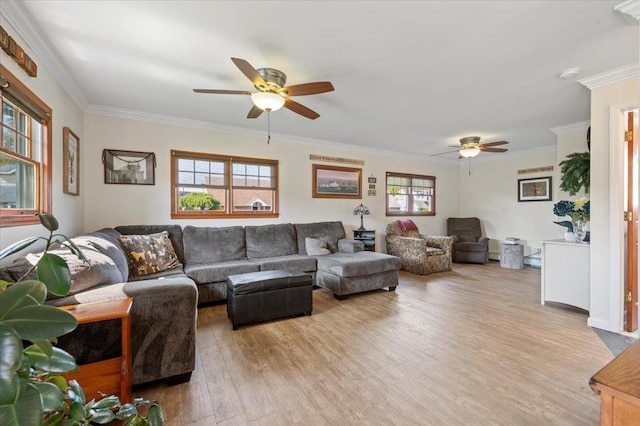 340 Martin Pl, Bethpage, NY 11714 - living area featuring a ceiling fan, light wood-style flooring, and crown molding