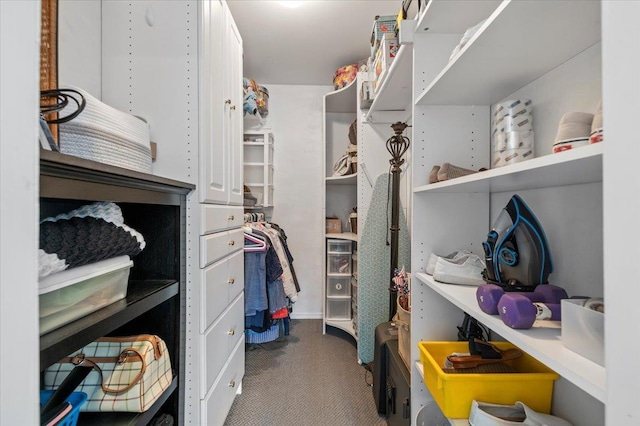 340 Martin Pl, Bethpage, NY 11714 - spacious closet with carpet