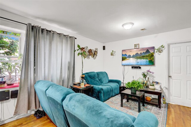 1934 Chatterton Ave, Bronx, NY 10472 - living room featuring light wood-style floors
