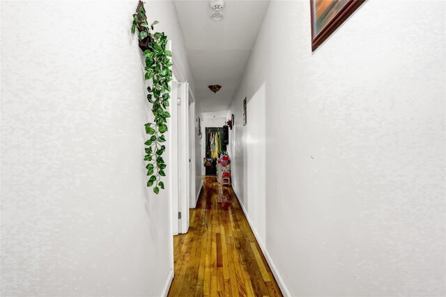 1934 Chatterton Ave, Bronx, NY 10472 - hallway featuring hardwood / wood-style floors and baseboards