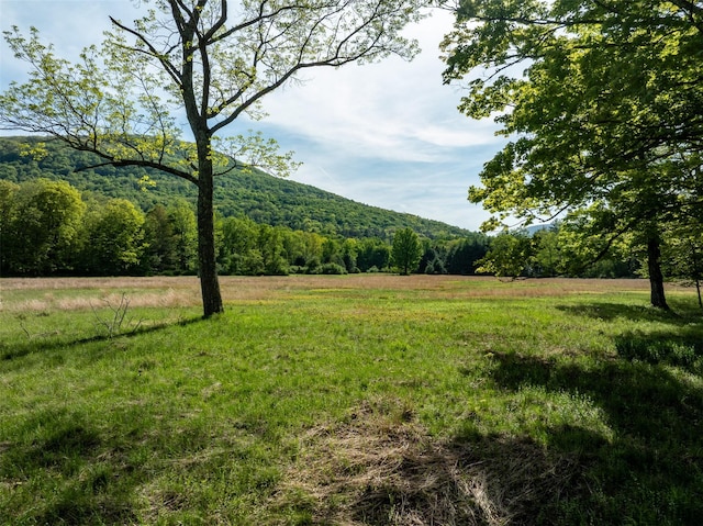 11 Louie Way, Woodstock, NY 12498 - view of yard with a view of trees, a rural view, and a mountain view