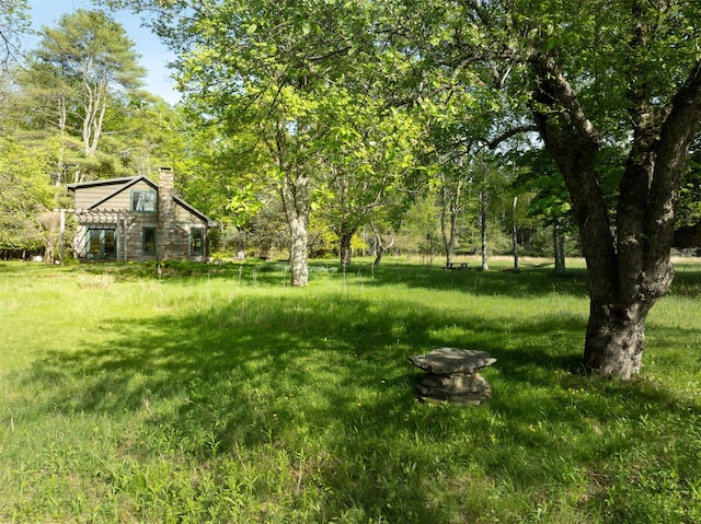 11 Louie Way, Woodstock, NY 12498 - view of yard