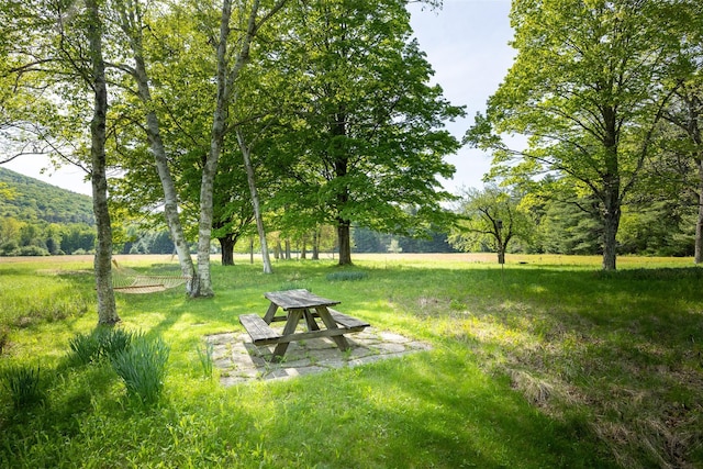 11 Louie Way, Woodstock, NY 12498 - view of yard