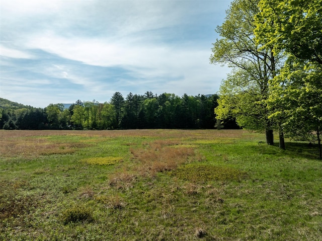 11 Louie Way, Woodstock, NY 12498 - view of yard with a forest view and a view of countryside