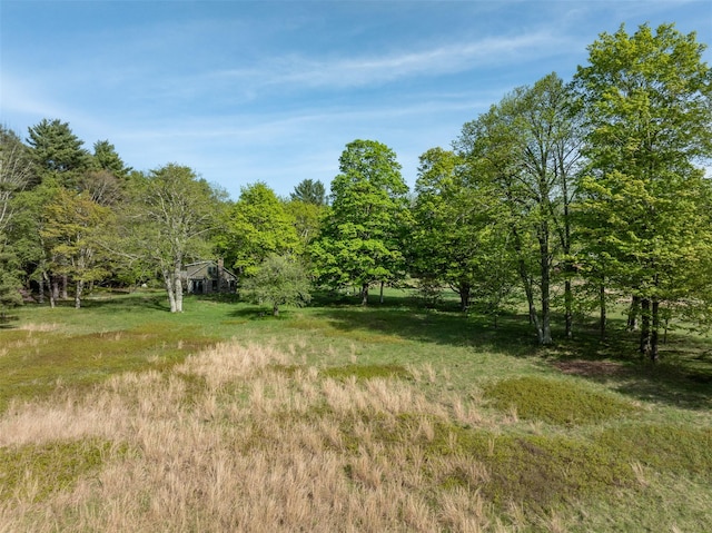 11 Louie Way, Woodstock, NY 12498 - view of yard