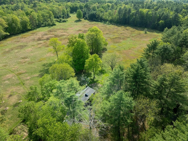 11 Louie Way, Woodstock, NY 12498 - view of rural area