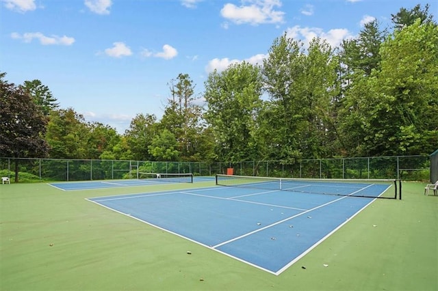 401 Autumn Ln, Brewster, NY 10509 - photo 35