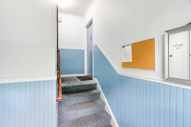 70 Underhill Ave Unit 1A, West Harrison, NY 10604 - stairway featuring a wainscoted wall, carpet, and crown molding