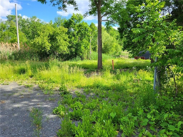 77 County Route 56, New Hampton, NY 10958 - photo 3
