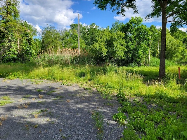 77 County Route 56, New Hampton, NY 10958 - photo 4