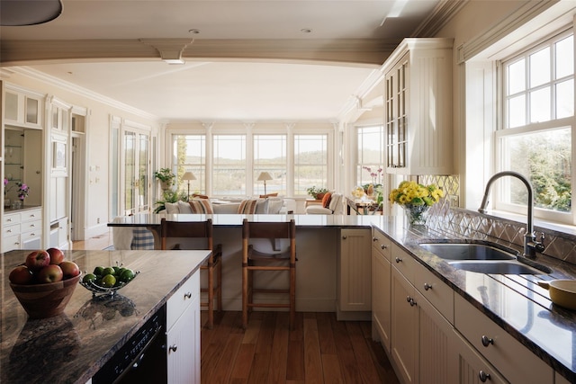 kitchen featuring a sink, a healthy amount of sunlight, dark wood finished floors, dishwasher, and ornamental molding