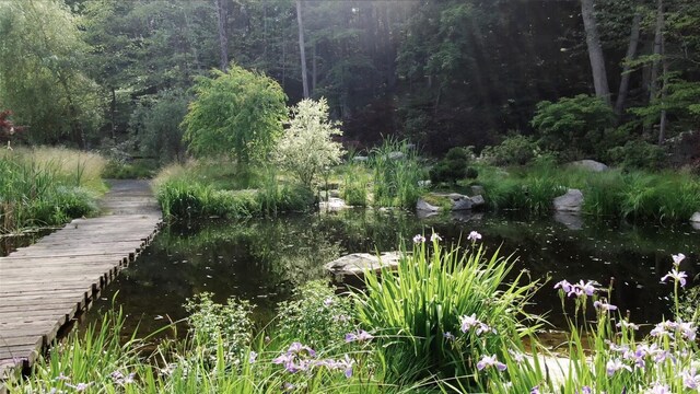 22 Brook Farm Rd, Tuxedo Park, NY 10987 - photo 48
