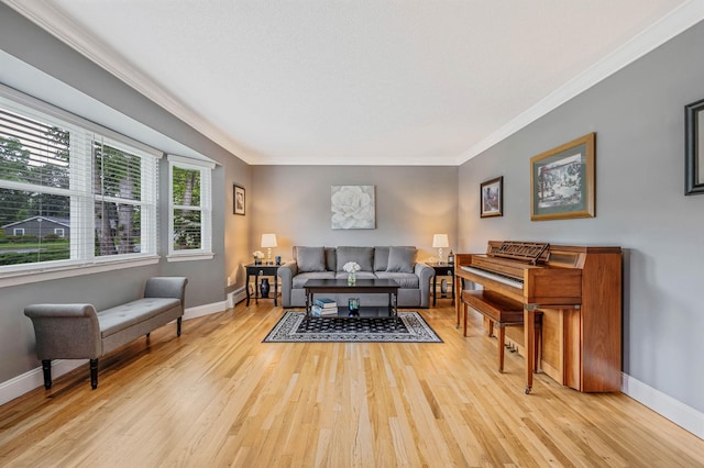 7 Jacqueline Ct, Port Jefferson Station, NY 11776 - living area featuring crown molding and light wood-type flooring
