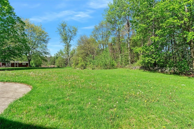 521 Plattekill Ardonia Rd, Wallkill, NY 12589 - view of grassy yard