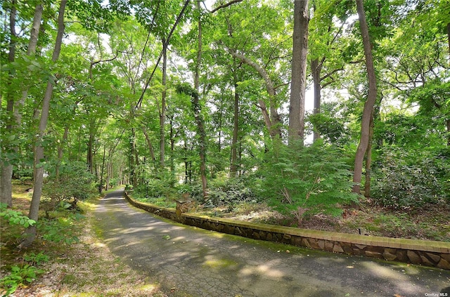 85 Dix Hills Rd, Huntington, NY 11743 - photo 2