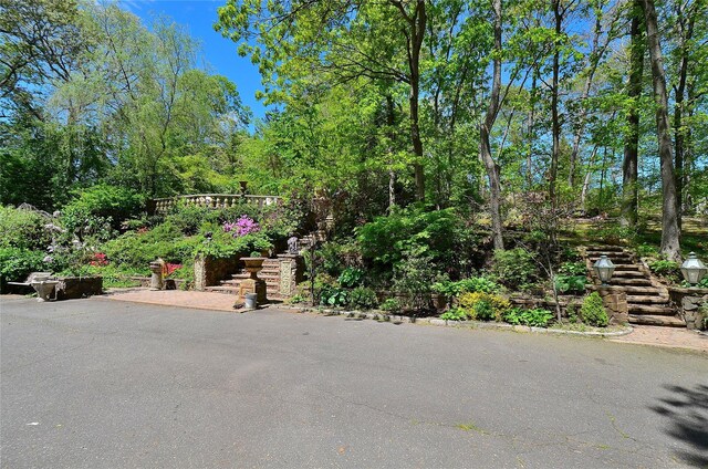 85 Dix Hills Rd, Huntington, NY 11743 - photo 36