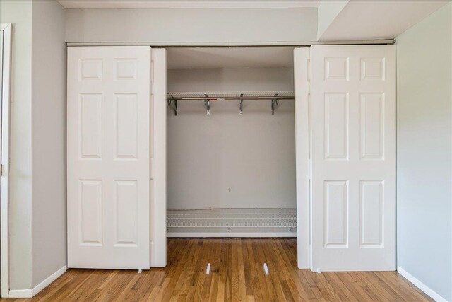 152 Artist Lake Dr Unit 152, Middle Island, NY 11953 - view of closet