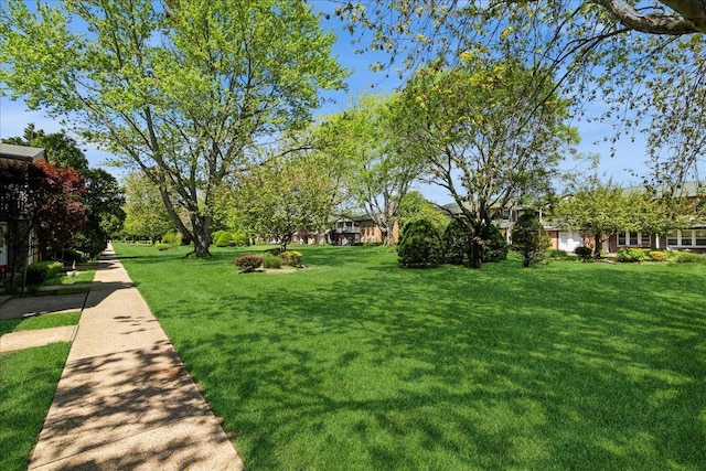 152 Artist Lake Dr Unit 152, Middle Island, NY 11953 - surrounding community featuring a yard