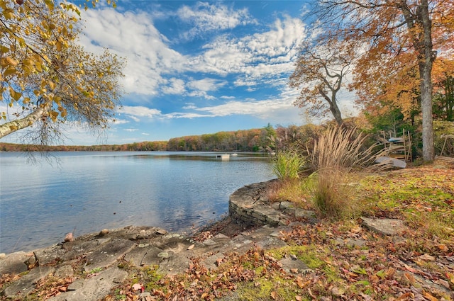 164 S Shore Dr, Wurtsboro, NY 12790 - photo 13