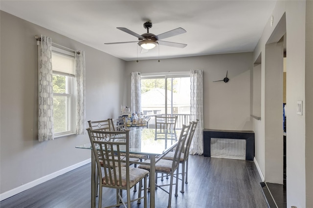 dining room featuring healthy amount of natural light, wood finished floors, and a ceiling fan