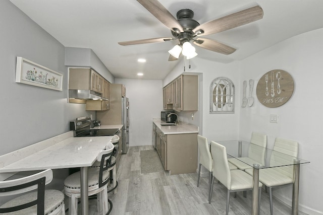 198 Millard Ave Unit 198, West Babylon, NY 11704 - kitchen featuring under cabinet range hood, appliances with stainless steel finishes, a ceiling fan, light wood-style floors, and a sink