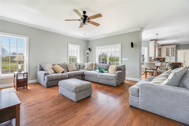 7 Viola Ct, Wappingers Falls, NY 12590 - living area with ceiling fan, healthy amount of natural light, crown molding, wood finished floors, and baseboards