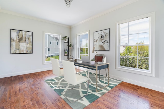 7 Viola Ct, Wappingers Falls, NY 12590 - office with wood finished floors, baseboards, and ornamental molding