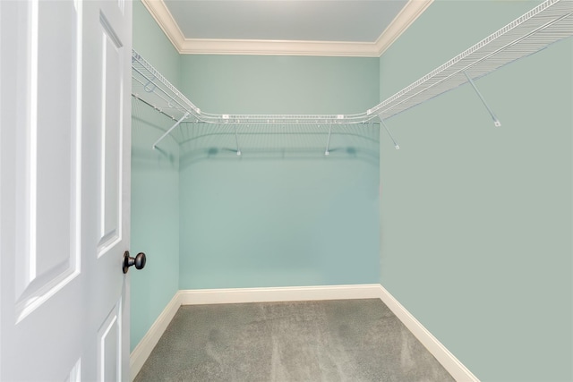 7 Viola Ct, Wappingers Falls, NY 12590 - spacious closet featuring carpet floors