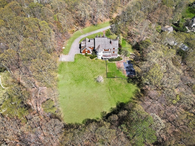 drone / aerial view