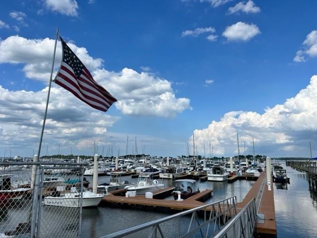 dock area with a water view