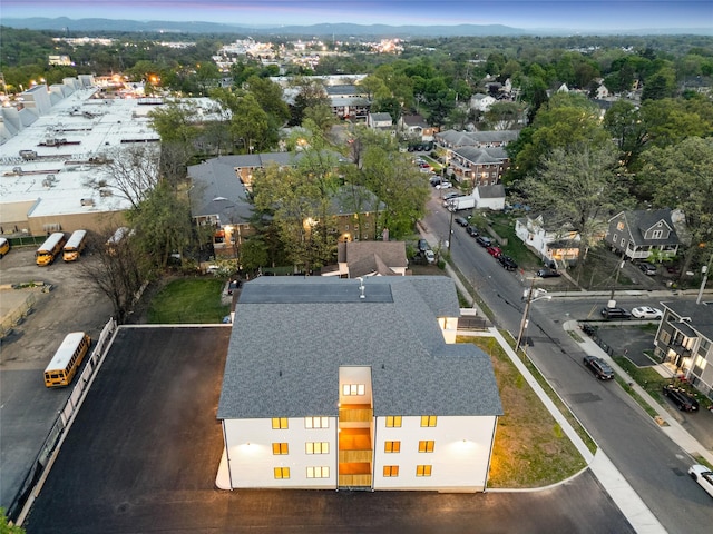 bird's eye view