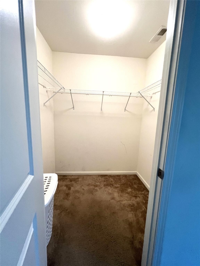 spacious closet with carpet flooring