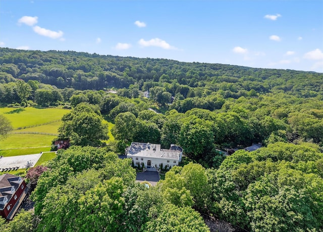65 Round Hill Rd, Armonk, NY 10504 - aerial view of property and surrounding area featuring a forest