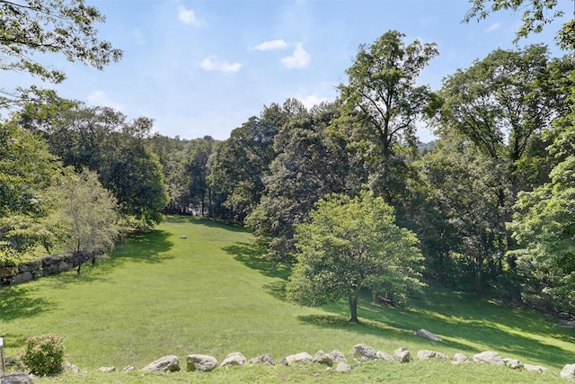 65 Round Hill Rd, Armonk, NY 10504 - view of green lawn featuring a forest view