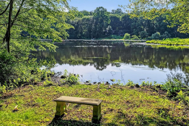 65 Round Hill Rd, Armonk, NY 10504 - water view with a heavily wooded area